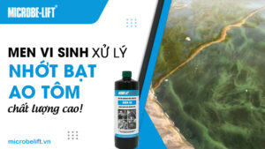 Men vi sinh xử lý nhớt bạt ao tôm chất lượng cao!