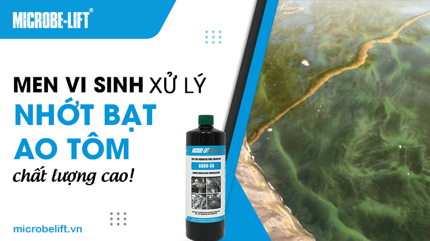 Men vi sinh xử lý nhớt bạt ao tôm chất lượng cao!