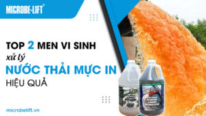 Top 2 men vi sinh xử lý nước thải mực in hiệu quả