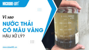 Vì sao nước thải có màu vàng hậu xử lý?