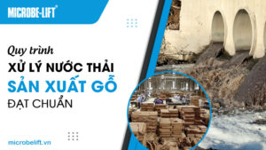 Quy trình xử lý nước thải sản xuất gỗ đạt chuẩn