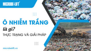 Ô nhiễm trắng là gì? Thực trạng và giải pháp