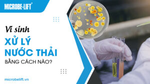 Vi sinh xử lý nước thải bằng cách nào?