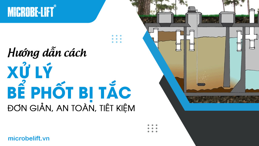 Hướng dẫn cách xử lý bể phốt bị tắc đơn giản, an toàn, tiết kiệm