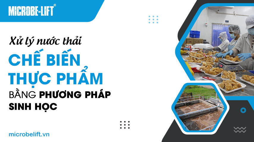 Xử lý nước thải chế biến thực phẩm bằng phương pháp sinh học 1 Xử lý nước thải chế biến thực phẩm bằng phương pháp sinh học
