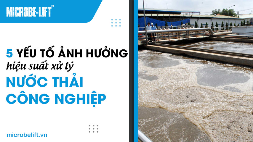 5 yếu tố ảnh hưởng hiệu suất xử lý nước thải công nghiệp