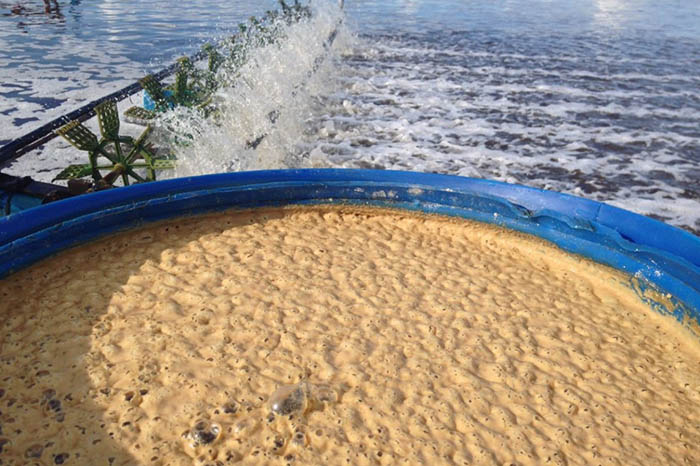 Men vi sinh Microbe-Lift giúp duy trì môi trường ao nuôi sạch ổn định, giảm khí độc và hạn chế ô nhiễm. Men vi sinh Microbe-Lift giúp duy trì môi trường ao nuôi sạch ổn định, giảm khí độc và hạn chế ô nhiễm.