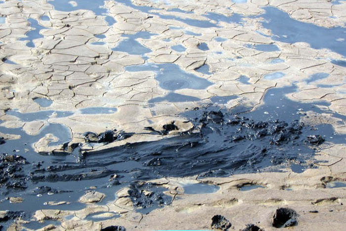 Mùi thối ở đáy ao cũng thường là biểu hiện của khí H₂S và các khí độc. Mùi thối ở đáy ao cũng thường là biểu hiện của khí H₂S và các khí độc.