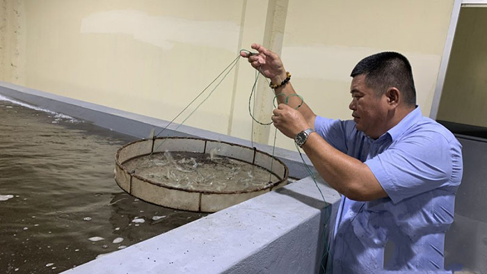 Hiện chưa xác định rõ nguyên nhân gây bệnh trắng gan trên tôm. Hiện chưa xác định rõ nguyên nhân gây bệnh trắng gan trên tôm.