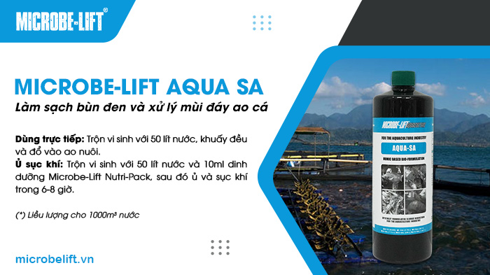 Microbe-Lift AQUA SA - Làm sạch bùn đen và xử lý mùi thối đáy ao nuôi cá 2 Microbe-Lift AQUA SA là sản phẩm vi sinh xử lý bùn đáy, từ đó cải thiện chất lượng nước ao nuôi,