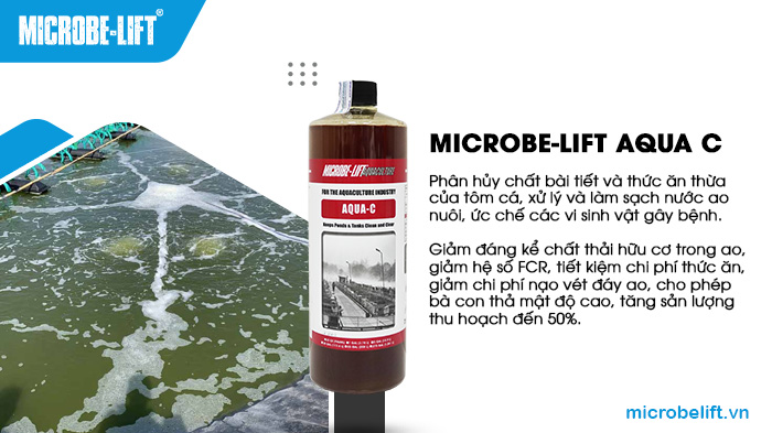 Microbe-Lift AQUA C giúp làm sạch nước ao, phân hủy chất thải và duy trì cân bằng sinh thái ổn định. Microbe-Lift AQUA C giúp làm sạch nước ao, phân hủy chất thải và duy trì cân bằng sinh thái ổn định.