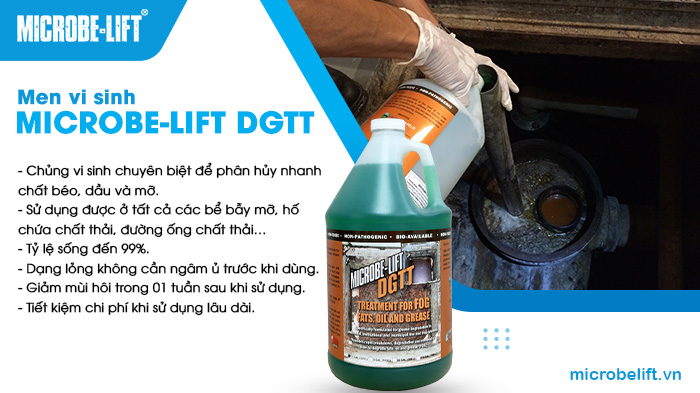 Microbe-Lift DGTT - Chế phẩm vi sinh xử lý dầu mỡ an toàn và hiệu quả cao cho nhà hàng, quán ăn, khách sạn, bếp ăn công nghiệp hay các khu chế biến thuỷ sản, nhà máy thực phẩm,... Microbe-Lift DGTT - Chế phẩm vi sinh xử lý dầu mỡ an toàn và hiệu quả cao cho nhà hàng, quán ăn, khách sạn, bếp ăn công nghiệp hay các khu chế biến thuỷ sản, nhà máy thực phẩm,...