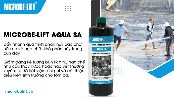Microbe-Lift AQUA SA phân hủy bùn đáy hiệu quả, giảm chi phí nạo vét và cải thiện môi trường sống đáy ao. Microbe-Lift AQUA SA phân hủy bùn đáy hiệu quả, giảm chi phí nạo vét và cải thiện môi trường sống đáy ao.