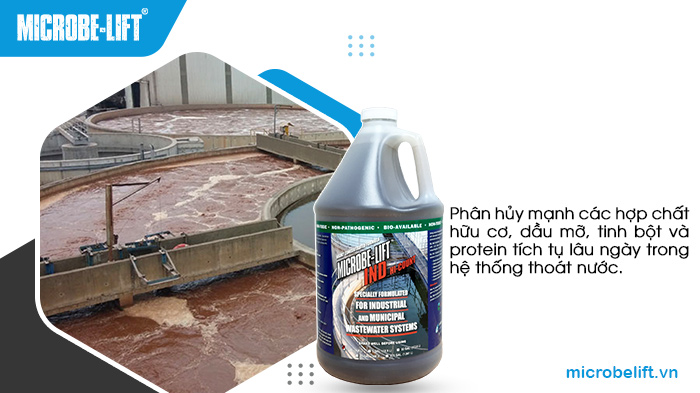 Công thức của Microbe-Lift IND bao gồm hơn 13 chủng vi khuẩn khác nhau, xử lý hiệu quả tình trạng bếp ăn thường xuyên nghẹt cống Công thức của Microbe-Lift IND bao gồm hơn 13 chủng vi khuẩn khác nhau, xử lý hiệu quả tình trạng bếp ăn thường xuyên nghẹt cống