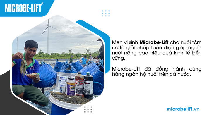 BIOGENCY - Đơn vị phân phối độc quyền Microbe-Lift chính hãng tại Việt Nam - đã đồng hành cùng hàng ngàn hộ nuôi trên cả nước. BIOGENCY - Đơn vị phân phối độc quyền Microbe-Lift chính hãng tại Việt Nam - đã đồng hành cùng hàng ngàn hộ nuôi trên cả nước.