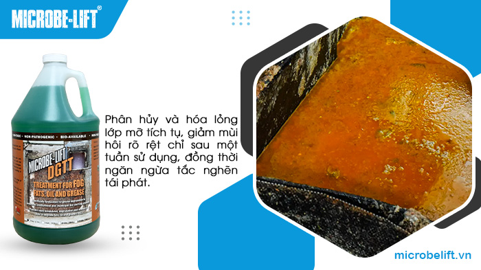 Men vi sinh Microbe-Lift DGTT phân hủy và hóa lỏng lớp mỡ tích tụ, từ đó giảm mùi hôi và ngăn tình trạng tắc nghẽn. Men vi sinh Microbe-Lift DGTT phân hủy và hóa lỏng lớp mỡ tích tụ, từ đó giảm mùi hôi và ngăn tình trạng tắc nghẽn.