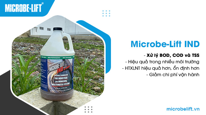 Men vi sinh xử lý BOD/COD là sản phẩm tổng hợp chứa đa dạng các chủng vi sinh vật. Men vi sinh xử lý BOD/COD là sản phẩm tổng hợp chứa đa dạng các chủng vi sinh vật.