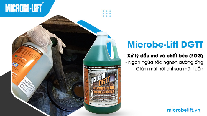 Men vi sinh Microbe-Lift giúp xử lý dầu mỡ và chất béo (FOG) phát sinh từ nước thải từ trung tâm hội nghị, tiệc cưới. Men vi sinh Microbe-Lift giúp xử lý dầu mỡ và chất béo (FOG) phát sinh từ nước thải từ trung tâm hội nghị, tiệc cưới.