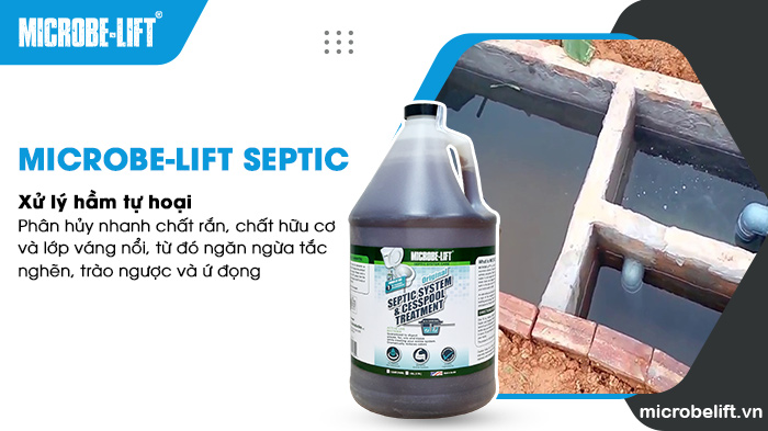 Microbe-Lift SEPTIC chuyên dùng để xử lý hầm tự hoại, giúp cải thiện hiệu quả hoạt động và kéo dài tuổi thọ hệ thống. Microbe-Lift SEPTIC chuyên dùng để xử lý hầm tự hoại, giúp cải thiện hiệu quả hoạt động và kéo dài tuổi thọ hệ thống.