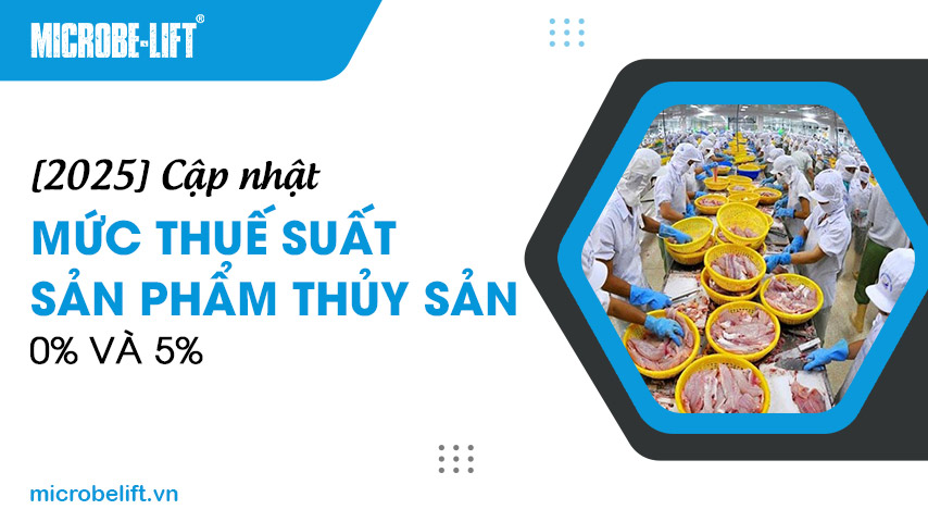 [2025] Cập nhật mức thuế suất sản phẩm thủy sản 0% và 5%