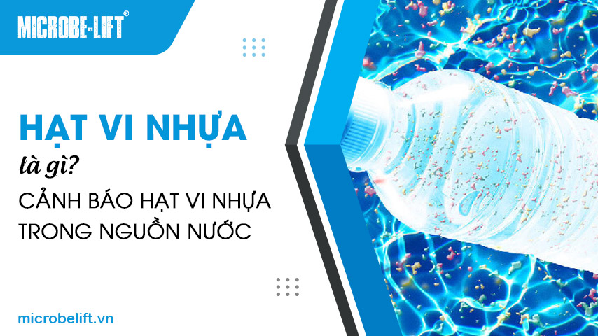 Hạt vi nhựa là gì? Cảnh báo hạt vi nhựa trong nguồn nước 1 Hạt vi nhựa là gì? Cảnh báo hạt vi nhựa trong nguồn nước