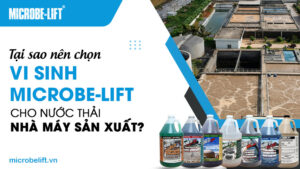 Tại sao nên chọn vi sinh Microbe-Lift cho nước thải nhà máy sản xuất?