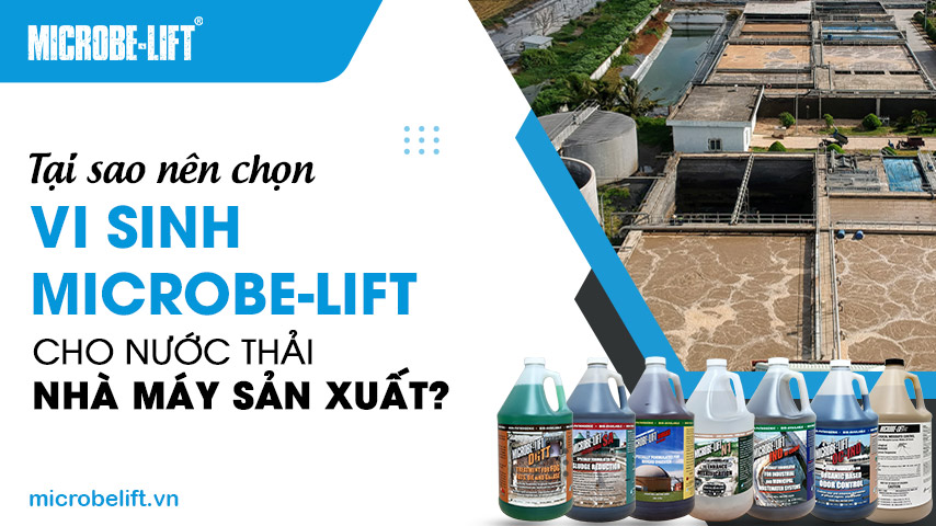 Tại sao nên chọn vi sinh Microbe-Lift cho nước thải nhà máy sản xuất?