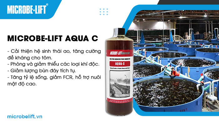 Men vi sinh Microbe-Lift AQUA C phân hủy hữu cơ nhanh, cân bằng sinh học cho ao nuôi. Men vi sinh Microbe-Lift AQUA C phân hủy hữu cơ nhanh, cân bằng sinh học cho ao nuôi.