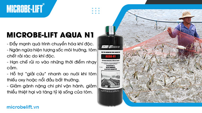 Microbe-Lift AQUA N1 giúp kiểm soát khí độc, giảm tôm chết, tăng tỷ lệ sống, dễ dùng. Microbe-Lift AQUA N1 giúp kiểm soát khí độc, giảm tôm chết, tăng tỷ lệ sống, dễ dùng.