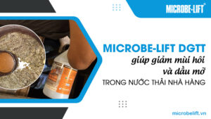 Microbe-Lift DGTT giúp giảm mùi hôi và dầu mỡ trong nước thải nhà hàng