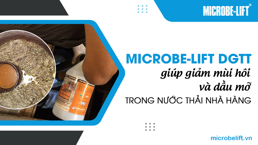 Microbe-Lift DGTT giúp giảm mùi hôi và dầu mỡ trong nước thải nhà hàng