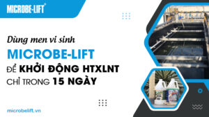 Dùng men vi sinh Microbe-Lift để khởi động HTXLNT chỉ trong 15 ngày
