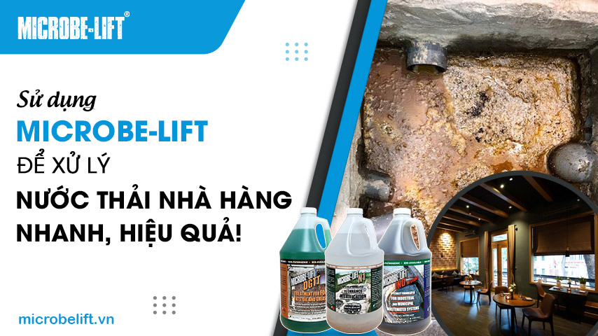 Sử dụng Microbe-Lift để xử lý nước thải nhà hàng nhanh, hiệu quả!