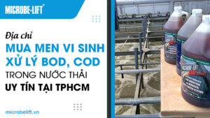 Địa chỉ mua men vi sinh xử lý BOD, COD trong nước thải uy tín tại TPHCM