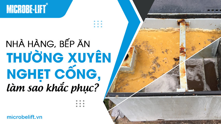 Nhà hàng, bếp ăn thường xuyên nghẹt cống, làm sao khắc phục?