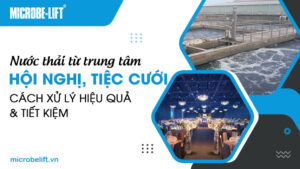 Nước thải từ trung tâm hội nghị, tiệc cưới: Cách xử lý hiệu quả và tiết kiệm