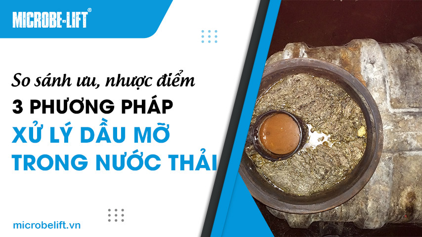So sánh ưu, nhược điểm 3 phương pháp xử lý dầu mỡ trong nước thải 1 So sánh ưu, nhược điểm 3 phương pháp xử lý dầu mỡ trong nước thải