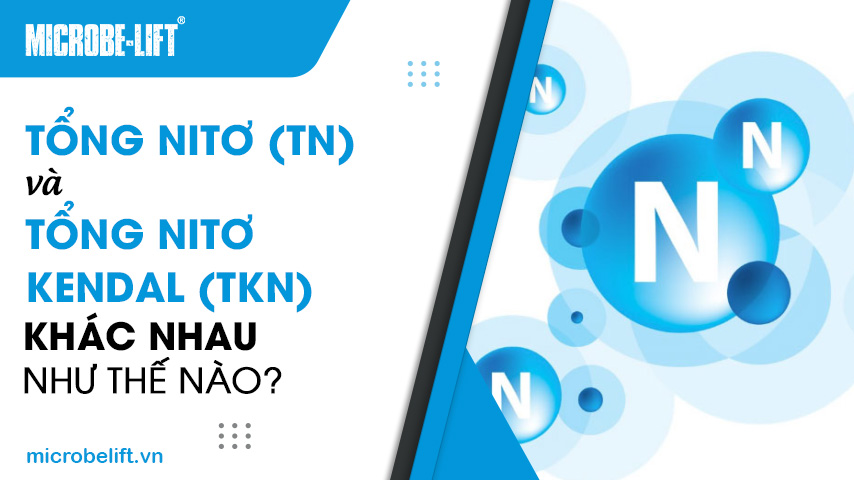 Tổng Nitơ (TN) và Tổng Nitơ Kendal (TKN) khác nhau như thế nào?