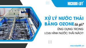 Xử lý nước thải bằng Ozone là gì? Ứng dụng trong loại hình nước thải nào?