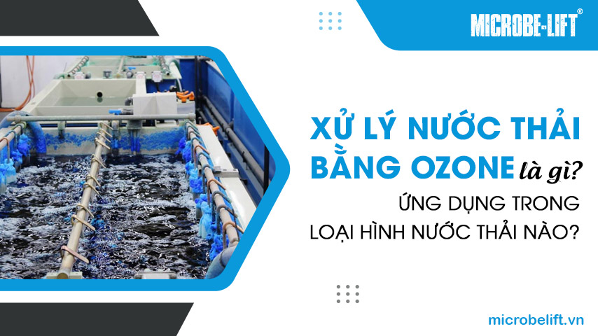 Xử lý nước thải bằng Ozone là gì? Ứng dụng trong loại hình nước thải nào? 1 Xử lý nước thải bằng Ozone là gì? Ứng dụng trong loại hình nước thải nào?