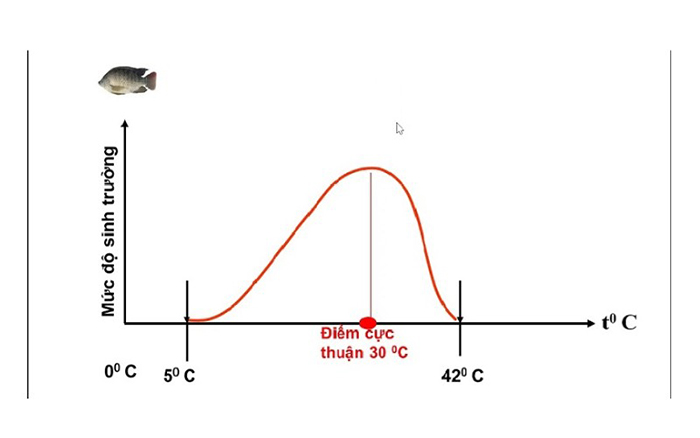 Giới hạn chịu đựng của một loài trước yếu tố môi trường. Giới hạn chịu đựng của một loài trước yếu tố môi trường.