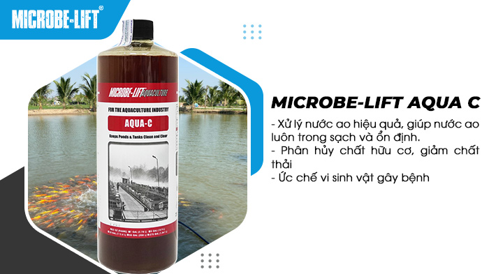 Men vi sinh cho ao nuôi cá Microbe-Lift AQUA C giúp xử lý nước ao hiệu quả. Men vi sinh cho ao nuôi cá Microbe-Lift AQUA C giúp xử lý nước ao hiệu quả.