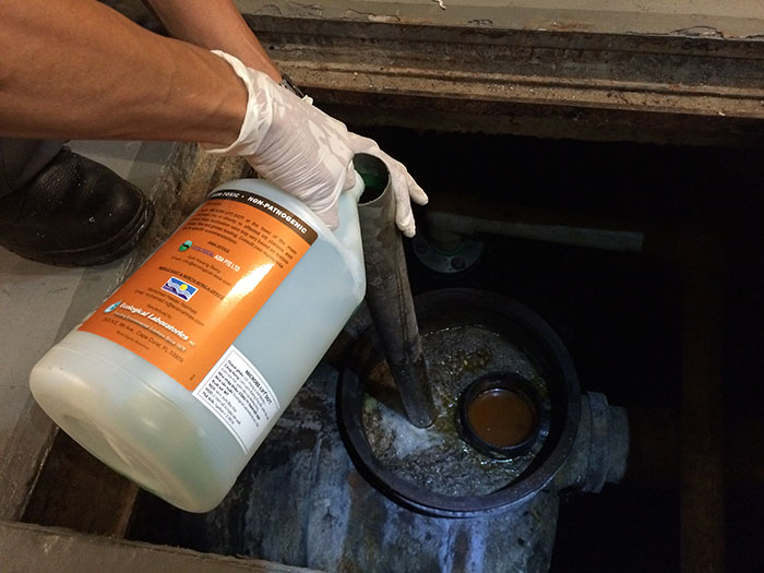 Sử dụng men vi sinh xử lý bể tách mỡ giúp phân hủy chất hữu cơ, dầu mỡ và cặn bẩn, từ đó tiết kiệm chi phí và kéo dài chu kỳ vệ sinh. Sử dụng men vi sinh xử lý bể tách mỡ giúp phân hủy chất hữu cơ, dầu mỡ và cặn bẩn, từ đó tiết kiệm chi phí và kéo dài chu kỳ vệ sinh.