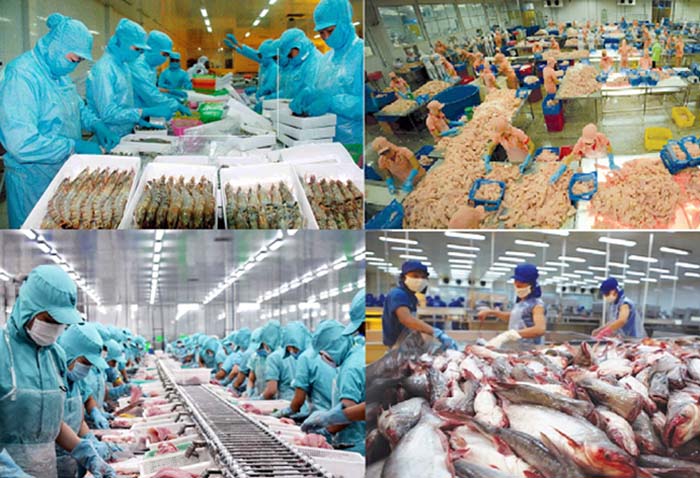 Một trong những đặc trưng nổi bật của nước thải chế biến thủy sản là nồng độ chất hữu cơ cao. Một trong những đặc trưng nổi bật của nước thải chế biến thủy sản là nồng độ chất hữu cơ cao.