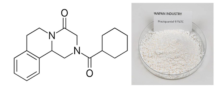Praziquantel là hoạt chất tổng hợp diệt ký sinh trùng phổ rộng, dùng để bảo vệ cá trong nuôi trồng thủy sản. Praziquantel là hoạt chất tổng hợp diệt ký sinh trùng phổ rộng, dùng để bảo vệ cá trong nuôi trồng thủy sản.