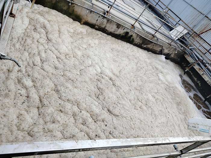 Sốc tải bể hiếu khí là hiện tượng quần thể vi sinh vật chịu áp lực quá mức. Sốc tải bể hiếu khí là hiện tượng quần thể vi sinh vật chịu áp lực quá mức.