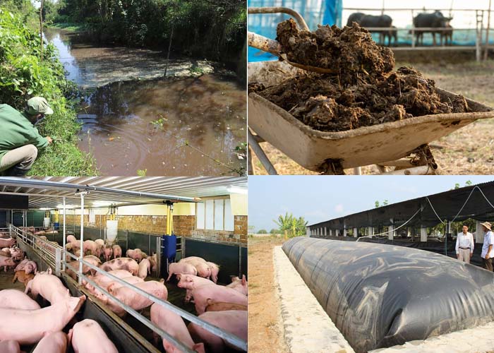 Chất thải phát sinh từ chăn nuôi phân thành 3 nhóm, gồm khí thải, chất thải rắn và nước thải. Chất thải phát sinh từ chăn nuôi phân thành 3 nhóm, gồm khí thải, chất thải rắn và nước thải.