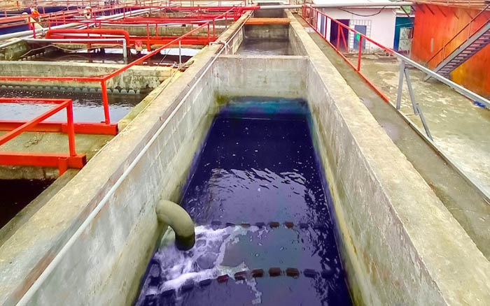 Các loại màu trong nước thải khó bị phân hủy sinh học. Các loại màu trong nước thải khó bị phân hủy sinh học.