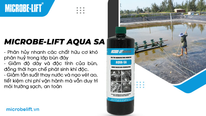 Men vi sinh cho ao nuôi cá Microbe-Lift AQUA SA được thiết kế đặc biệt để phân hủy nhanh các chất hữu cơ khó phân huỷ trong lớp bùn đáy. Men vi sinh cho ao nuôi cá Microbe-Lift AQUA SA được thiết kế đặc biệt để phân hủy nhanh các chất hữu cơ khó phân huỷ trong lớp bùn đáy.