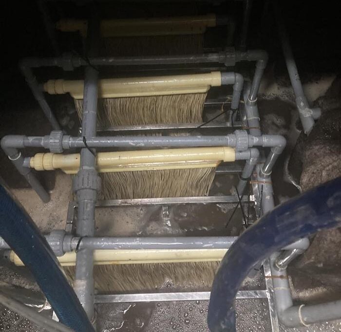 Màng cũ cũng dễ bị tấn công bởi vi sinh vật hoặc bị phá hủy do phản ứng hóa học. Màng cũ cũng dễ bị tấn công bởi vi sinh vật hoặc bị phá hủy do phản ứng hóa học.